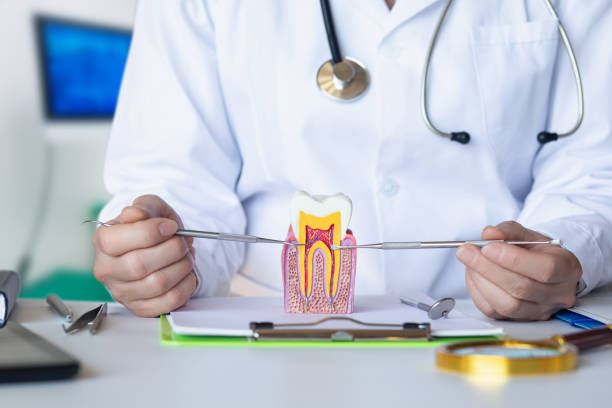 Best Emergency Wisdom Tooth Extraction in Middletown, MD